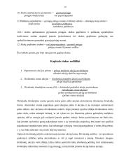 Įmonės veiklos įvertinimai (rodikliai) 10 puslapis