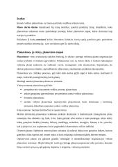 Įmonės veiklos planavimas, jo rūšys bei planavimo etapai 3 puslapis