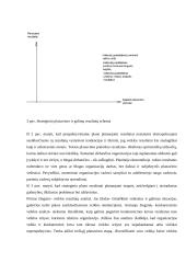 Įmonės veiklos planavimas, jo rūšys bei planavimo etapai 6 puslapis