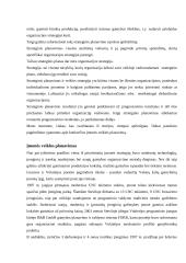 Įmonės veiklos planavimas, jo rūšys bei planavimo etapai 7 puslapis