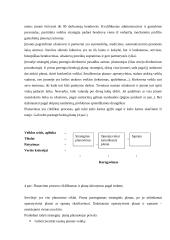 Įmonės veiklos planavimas, jo rūšys bei planavimo etapai 8 puslapis