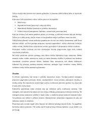 Įmonės veiklos planavimas, jo rūšys bei planavimo etapai 10 puslapis