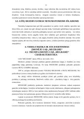 Įmonės verslo rizika: UAB "Megrame" 11 puslapis