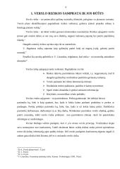Įmonės verslo rizika: UAB "Megrame" 4 puslapis