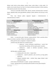 Įmonės verslo rizika: UAB "Megrame" 5 puslapis