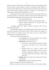 Įmonės verslo rizika: UAB "Megrame" 8 puslapis