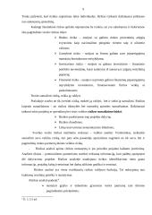 Įmonės verslo rizika: UAB "Megrame" 9 puslapis