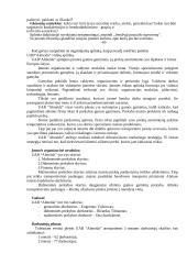 Įmonės vidinė aplinka: UAB "Almeida" 12 puslapis