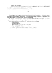 Įmonės vidinė aplinka: UAB "Almeida" 13 puslapis