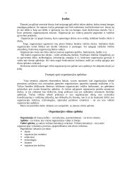 Įmonės vidinė aplinka: UAB "Almeida" 3 puslapis