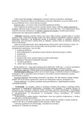 Įmonės vidinė aplinka: UAB "Almeida" 5 puslapis