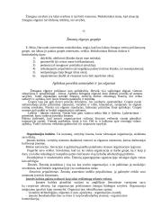 Įmonės vidinė aplinka: UAB "Almeida" 7 puslapis