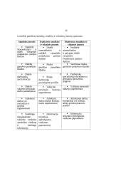 Įmonės vidinė aplinka: UAB "Almeida" 10 puslapis