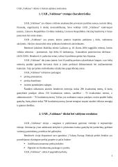 Įmonės vidinės ir išorinės aplinkos įvertinimas: UAB "Valdonas" 3 puslapis
