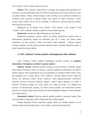 Įmonės vidinės ir išorinės aplinkos įvertinimas: UAB "Valdonas" 6 puslapis