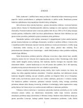 Lietuvos įmonių bankroto ekonominiai aspektai 2 puslapis