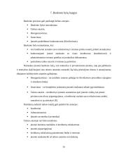 Lietuvos įmonių bankroto ekonominiai aspektai 16 puslapis