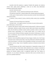 Lietuvos įmonių bankroto ekonominiai aspektai 20 puslapis