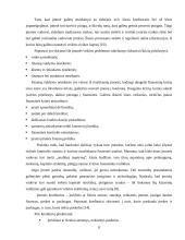 Lietuvos įmonių bankroto ekonominiai aspektai 8 puslapis