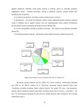 Lietuvos įmonių bankroto ekonominiai aspektai 10 puslapis