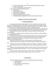 Įmonių ekonomikos savarankiškas darbas 3 puslapis