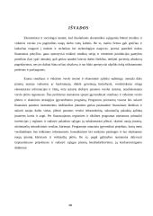 Įmonių finansavimo galimybės Lietuvoje 12 puslapis