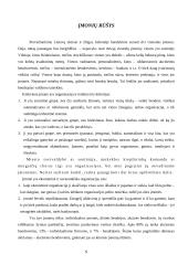 Įmonių finansavimo galimybės Lietuvoje 3 puslapis