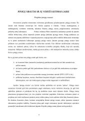 Įmonių finansavimo galimybės Lietuvoje 5 puslapis