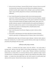 Įmonių finansavimo galimybės Lietuvoje 6 puslapis