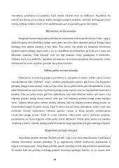 Įmonių finansavimo galimybės Lietuvoje 8 puslapis