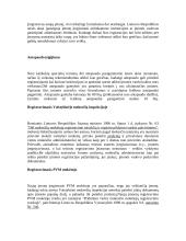 Įmonių organizavimo formos Lietuvoje 5 puslapis