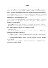 Įmonių rūšys: AB, UAB ir investicinės bendrovės 2 puslapis