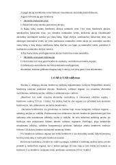 Įmonių rūšys: AB, UAB ir investicinės bendrovės 6 puslapis