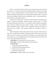 Įmonių steigimas 2 puslapis