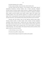 Įmonių steigimas 11 puslapis