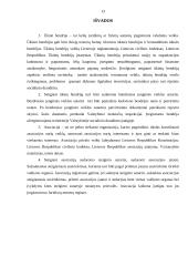 Įmonių steigimas 12 puslapis