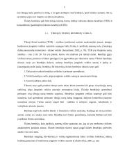 Įmonių steigimas 4 puslapis