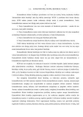 Įmonių steigimas 5 puslapis