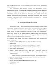 Įmonių steigimas 6 puslapis