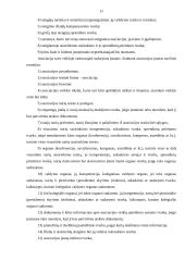 Įmonių steigimas 10 puslapis