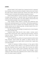 Importas ir eksportas 2 puslapis