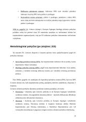 Importas ir eksportas 14 puslapis