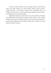 Importas ir eksportas 17 puslapis