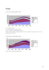 Importas ir eksportas 19 puslapis