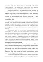 Importas ir eksportas 4 puslapis