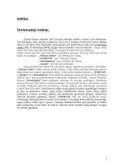 Indėliai. Paskolos 3 puslapis