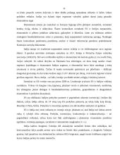 Indijos tarptautinė ekonomikos politika 11 puslapis