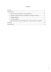 Individualaus mitybos proceso įvertinimas 2 puslapis