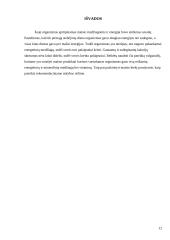 Individualaus mitybos proceso įvertinimas 12 puslapis