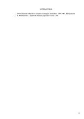 Individualaus mitybos proceso įvertinimas 13 puslapis